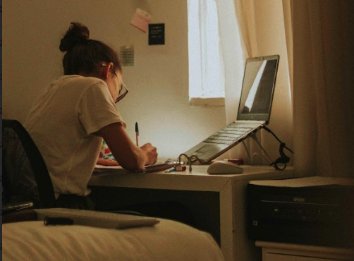 student preparing calmly for an exam – test-taking anxiety support